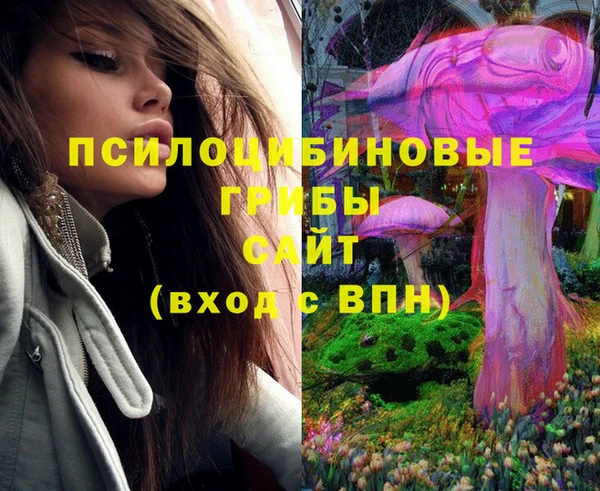прущий лед Алзамай