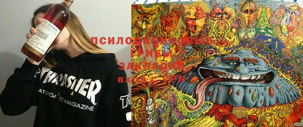 дмт Алексеевка